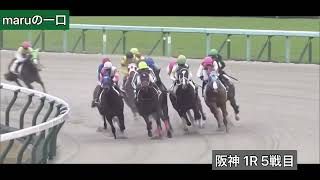 クロニクルノヴァ 5戦目 2歳未勝利ダート 1400m阪神競馬場 1R 10:05