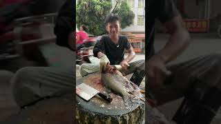 表演一条砍块的红鲳鱼 #鱼 #美食 Fish Cleaning and Cutting Video, Amazing Fish Cutting Skills