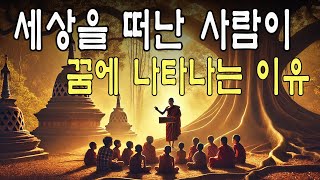 【부처님의 길잡이】 돌아가신 분이 꿈에 나타나는 것은 어떤 의미일까요? 그것이 우리에게 전하고자 하는 메시지는 무엇일까요?