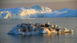 ICEBREAKER CROSSING EKI GLACIER ICE FIELDS - Greenland