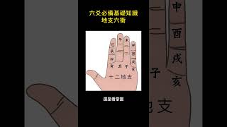 六爻入門秘籍：地支的六衝 #占卜 #易經 #卜卦 #六爻 #傳統文化