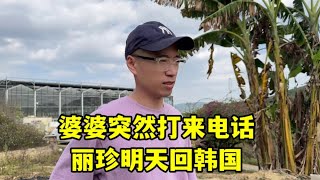 韓國婆婆突然打電話，麗珍心頭一顫，明天就回韓國，啥事這麼急？