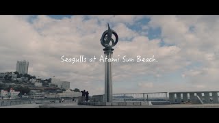 【4K】Seagulls at Atami Sun Beach. | SONY α7SⅢ + FE 50mm F1.2 GM