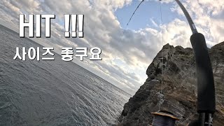 (4K)겨울 제주도에서 고등어를 미끼로 쓰면 어떻게 될까?