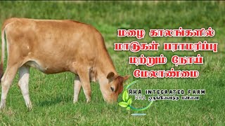 எப்படி மழை காலங்களில் மாடுகளை பராமரிப்பு மற்றும் நோய் மேலாண்மை| RKA ஒருங்கிணைந்த பண்ணை