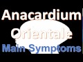 anacardium orientale main symptoms homeopathic medicine– best tips for practitioner