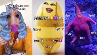 TIK TOKS I FOUND ON MY STEPBRO´S COMPUTER 💻🤣