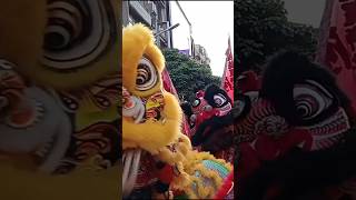 活靈活現的舞獅😻😻Temple fair celebrations😻😻