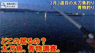 3月3週目の太刀魚、青物はどこに居るのか？和歌山で太刀魚からの青物狙い。3月3週目の太刀魚釣り。