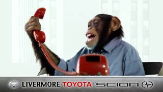 Livermore Toyota \