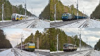 Pociągi w Zagajniku | 163 035, 4E-004 i EU07-131, Vectron 100 MS i inne