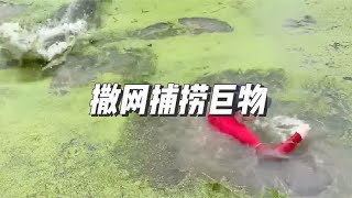 妹子撒网捕鱼，不料网中大鱼被拖下水，太惊险了#户外 #捕鱼