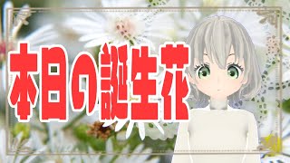 【花言葉】９月１８日の誕生花は？／花白もか