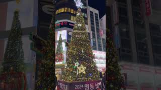 Christmas Tree in Seoul 🎄 #christmaslights #クリスマスイルミネーション #ソウル #韓国 #韓国旅行 #크리스마스