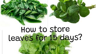 #Amazelyf || How to store Curry, Pudina \u0026 Coriander leaves for long time?  #foodblogger #foodstorage