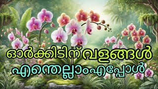 Why Orchid Fertilizer |Timing Matters|Rc garden|9846090759|In Malayalam |