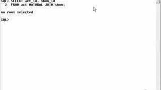 learning oracle application developer 101