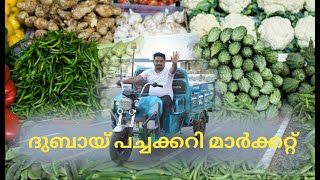 ദുബായ് പച്ചക്കറി മാർക്കറ്റ് | Dubai Fruits and Vegetables Market 🍅🥦🥒