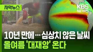 [자막뉴스] 진짜 심상치 않은 요즘 날씨…올여름 대재앙 온다 / KBS 2026.04.14.
