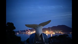 [夜景]鯨もびっくりな特急便！　関門海峡で働く貨物船たち関門海峡を走る貨物船