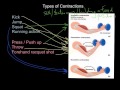 Types of Contractions