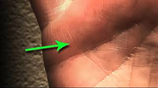 Your Money Lines Palmistry