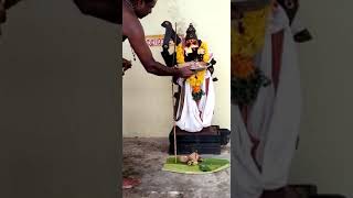 sri vanamurthi sastha  deepam