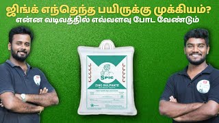 எந்தெந்த பயிருக்கு ஜிங்க் போடனும்? ஜிங்க அவ்வளவு அவசியமான சத்து தானா?  role of zinc in plant's