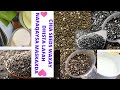 Waxtarka Chia seeds.Sida loo isticmaalo Chia seeds. Waxtarka (faaiidooyiinka chia seeds)