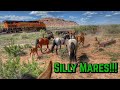 Horses and MOVING trains! | High Desert RANCHING