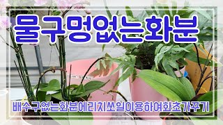 물구멍없는화분에 리치쏘일 이용하여 화초키우기