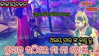 ଡ଼ାକି ଡ଼ାକି ଧନ ତତେ ରେ......//କାଳୀଦହନ //ନଡିଆଳି ପାଟଣା ସାହି//Kalidahan nadiali patana shahi nayagadrh.