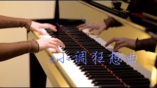 「c小调狂想曲」-MappleZS钢琴演奏