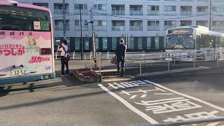 いすゞエルガ京成バス8153リカちゃんラッピングバス新小53亀有中学校経由亀有駅行き葛飾区役所15時25分発車