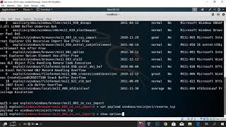 (Exploiting client_side Vunerabilities and establishing aVNC Session (Lab4