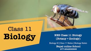 2 life cycle in manasexual cycle NEB Biology class 11 family  in nepali NEB, Class 11 Biology  NEB