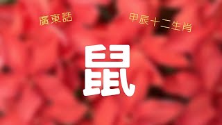 肖鼠 (三合) - 吉星：將星。凶星：白虎、披頭、天雄。