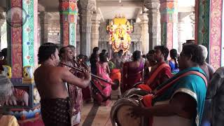 jaffna Madduvil panriththalachchi amman kovil 2ndpankunithinkal 2k19