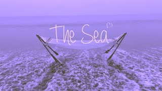 The Sea / LAZYgunsBRISKY