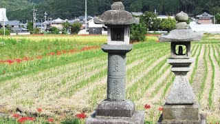 彼岸花の里に建つ古刹(京都亀岡)穴太寺