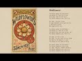 tom petty wildflowers official lyric video