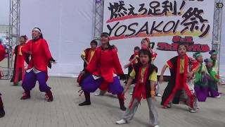 燃えろ足利！YOSAKOI祭り'20 総踊り - 石狩シャケサンバ