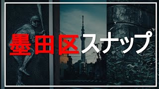 【オールドデジカメ】リコーCX2で墨田区スナップをしてきました！