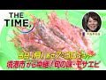 the time 　列島リアルタイム中継！10月9日（月・祝）境港市から生中継