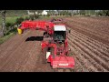 jamison potatoes digging with the dewulf harvester