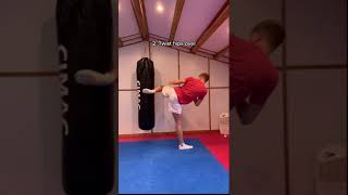 Roundhouse kick tutorial