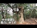 大和三山を歩く