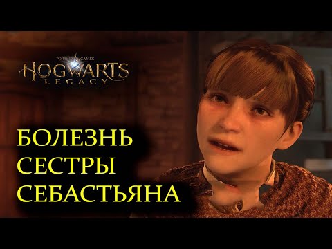 #27 В ТЕНИ ПОМЕСТЬЯ Hogwarts Legacy Прохождение Без комментариев PS5