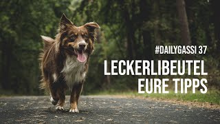 Hunde Leckerlibeutel - Eure Tipps [DailyGassi #37]