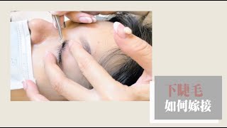 睫瑞JadeRay【下睫毛要如何嫁接呢?】How to get the lower eyelash extensions?